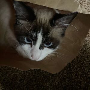 Meet your Posher, Olivia